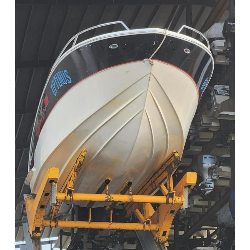 LANCHA-PRINZ 700 -la mejor del rio - 3/12