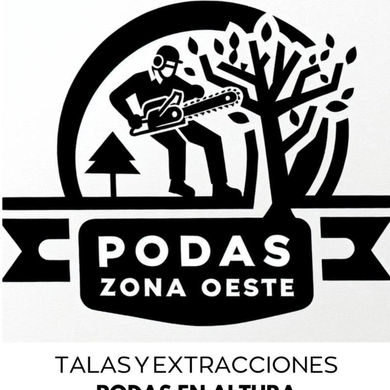 Poda Árboles Palmeras Riesgo Altura. El Más Barato