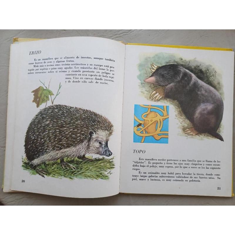 Libros Infantiles (12) R. Hood Iridium Cuentos Y El Mundo De los animales - 2/13