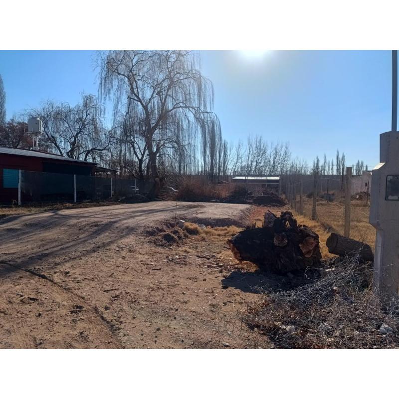 Lote en barrio San Román, plottier 356m2