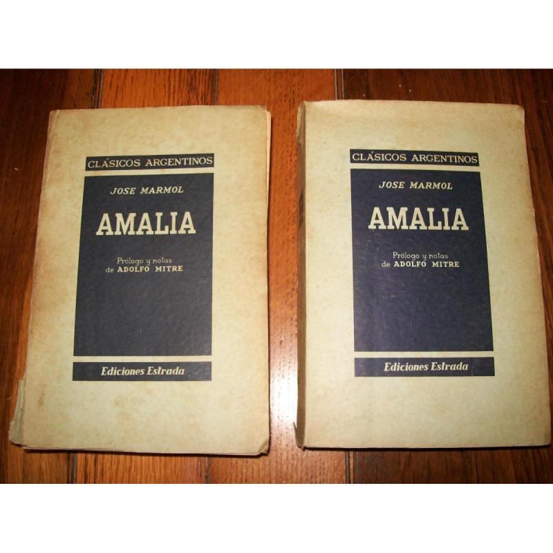 Libros de Dostoievski, Jane Austen, Carlos Dickens, Rabelais, Balsac y Cervantes