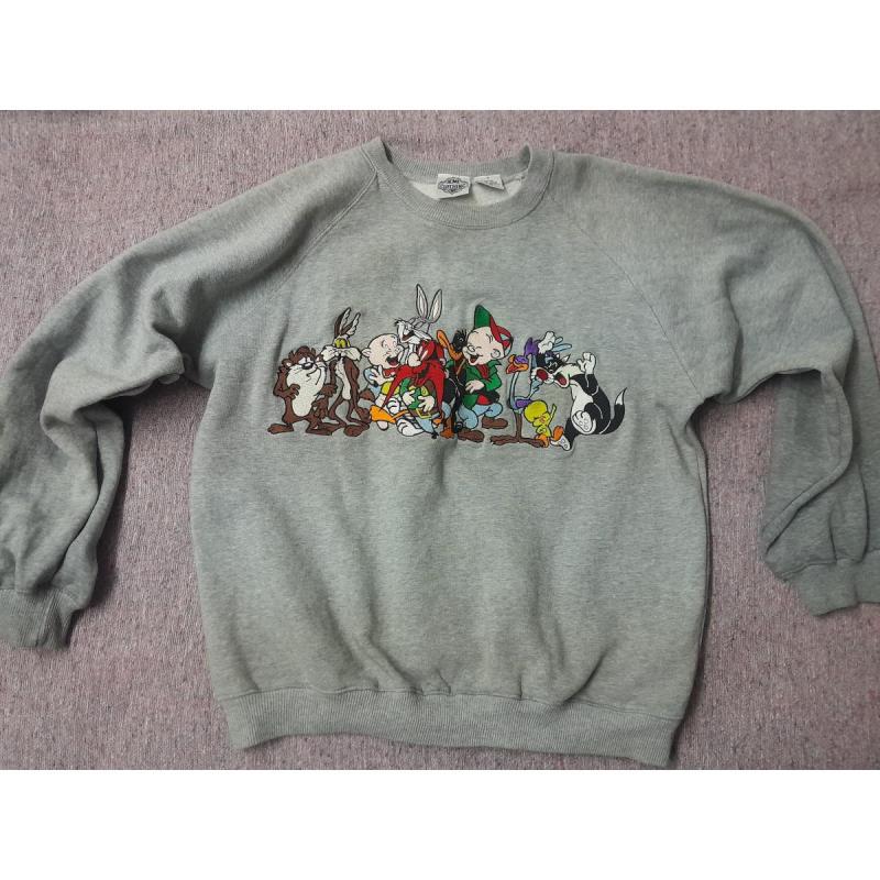 Buzo gris bordado Warner