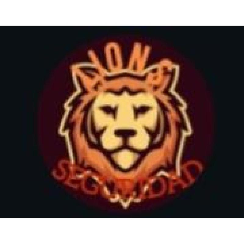 Lions seguridad