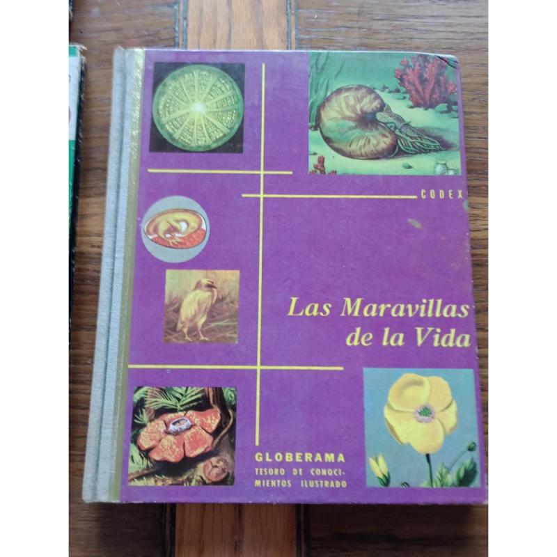 Enciclopedia Globerama 6 Tomos - 2/12