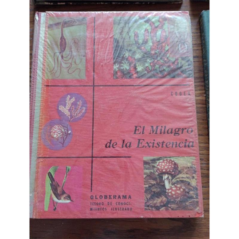 Enciclopedia Globerama 6 Tomos - 4/12