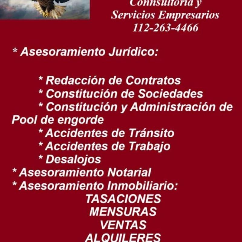 Studio 1 Consultores - 2