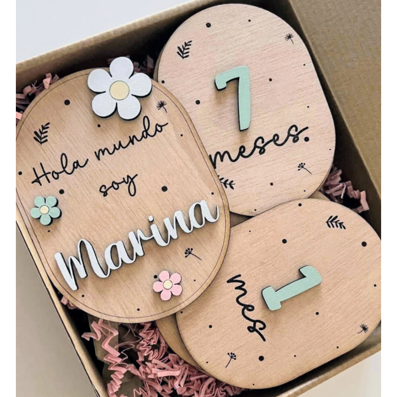 Carteles mes a mes bebé