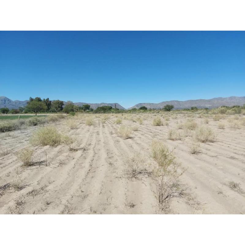 Campo de una hectarea y media