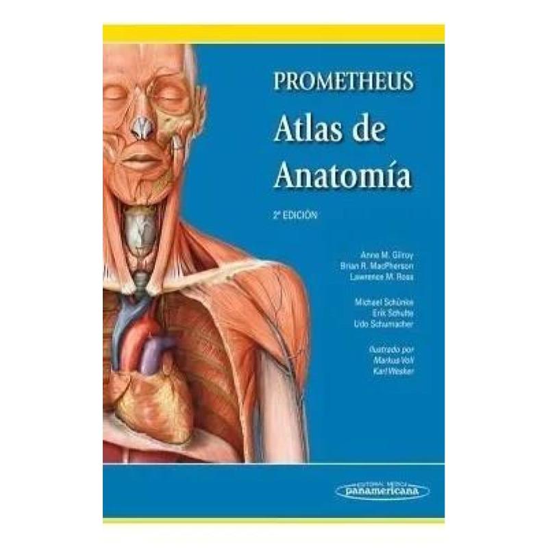 Atlas de anatomia- prometheus 2da edicion