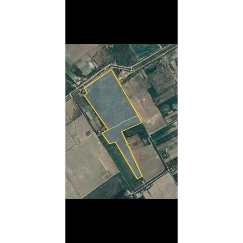 Terreno 61 hectáreas con agua y luz – Las Chacras, La Banda (Santiago del Estero)