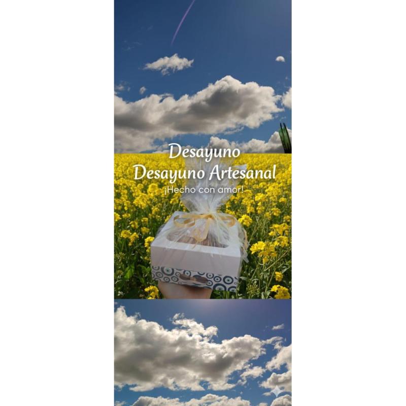 Desayunos Artesanales a Domicilio