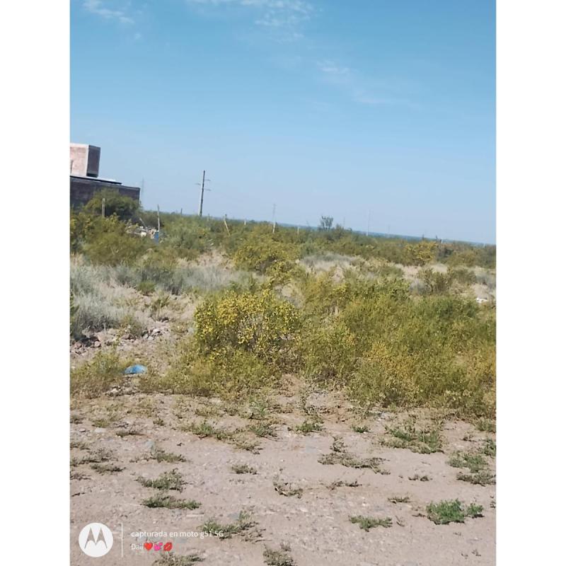 Terreno Barrancas Maipú Mendoza