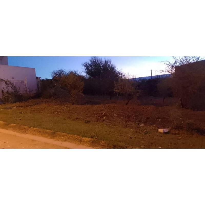 San Antonio Terrazas 1 Playas de Oro 1000 m²