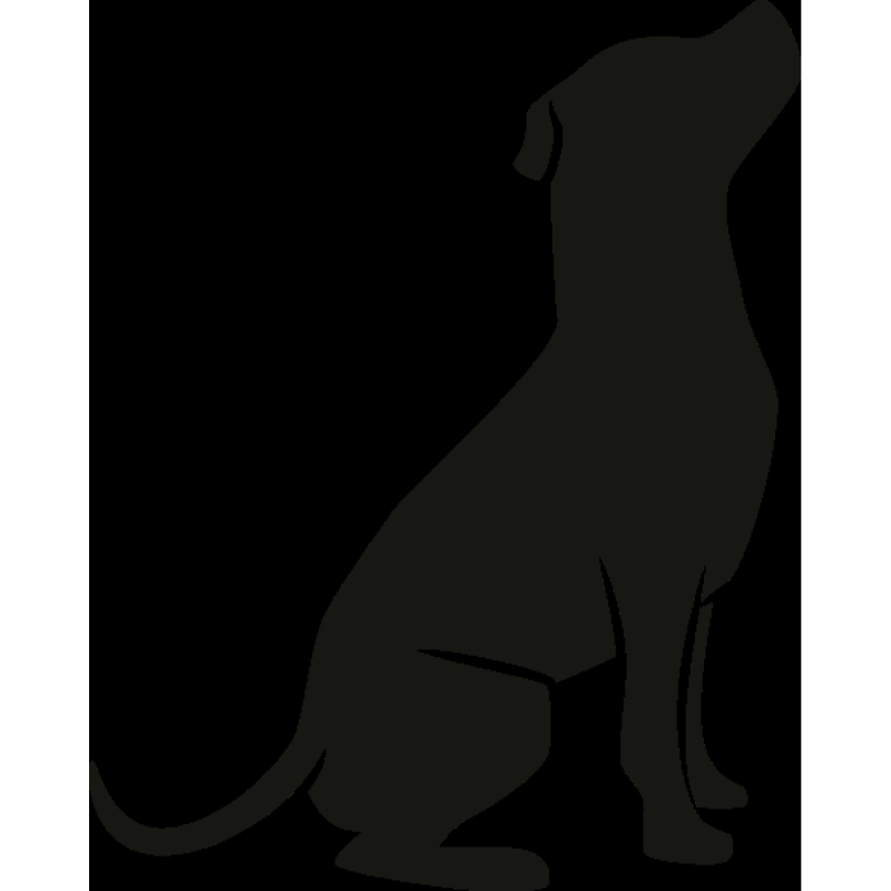 Cuchillas Andis peluqueria canina!