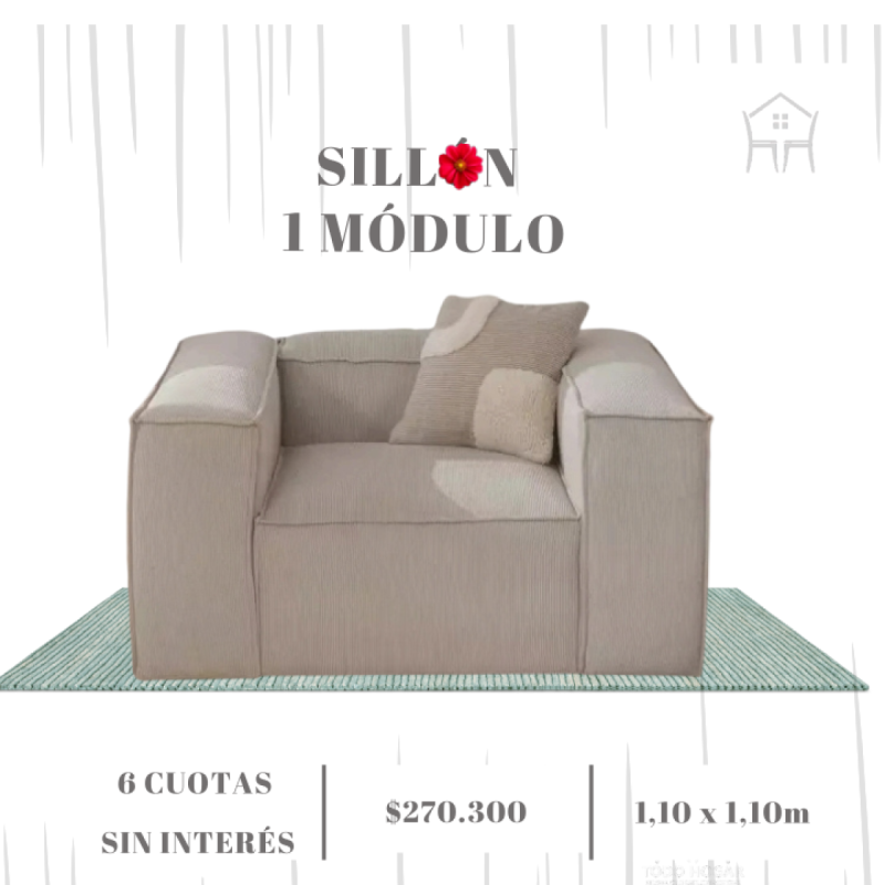 Gran oferta especial por tiempo limitado! VALIDA HASTA EL 31/01 - 2