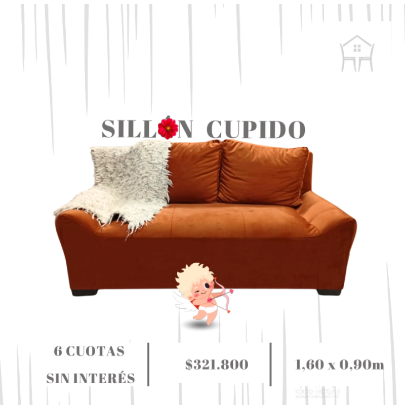 Gran oferta especial por tiempo limitado! VALIDA HASTA EL 31/01 - 6