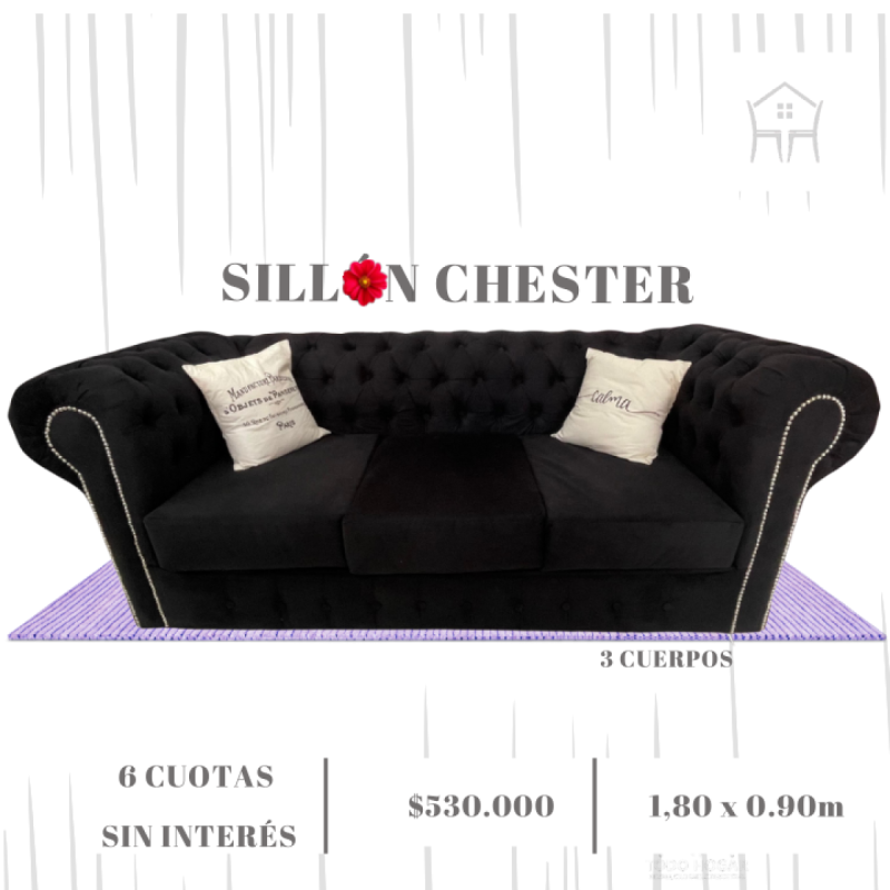 Gran oferta especial por tiempo limitado! VALIDA HASTA EL 31/01 - 11