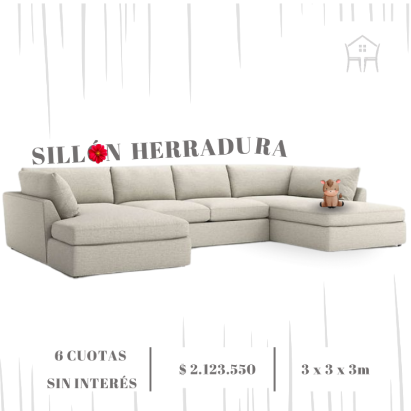 Gran oferta especial por tiempo limitado! VALIDA HASTA EL 31/01 - 17