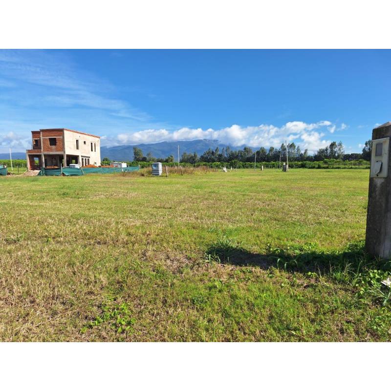 Oportunidad - liquido terreno los nogales