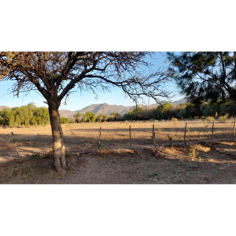 lotes de 13x50 con todos los servicios y vista a las sierras , en Lujan ,San Luis - 3