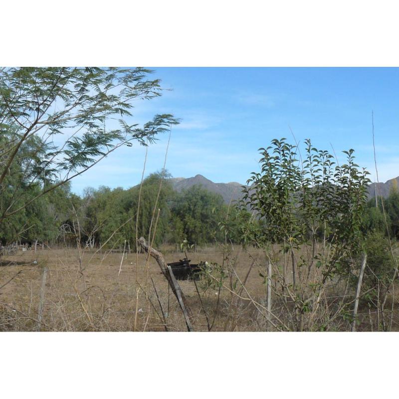 lotes de 13x50 con todos los servicios y vista a las sierras , en Lujan ,San Luis - 7