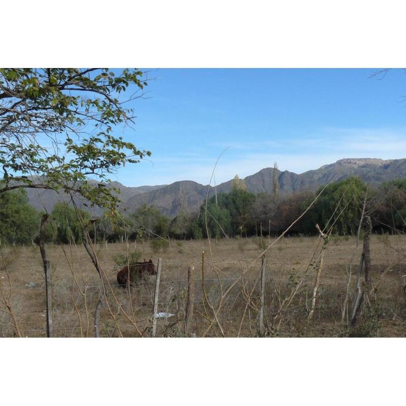 lotes de 13x50 con todos los servicios y vista a las sierras , en Lujan ,San Luis - 8