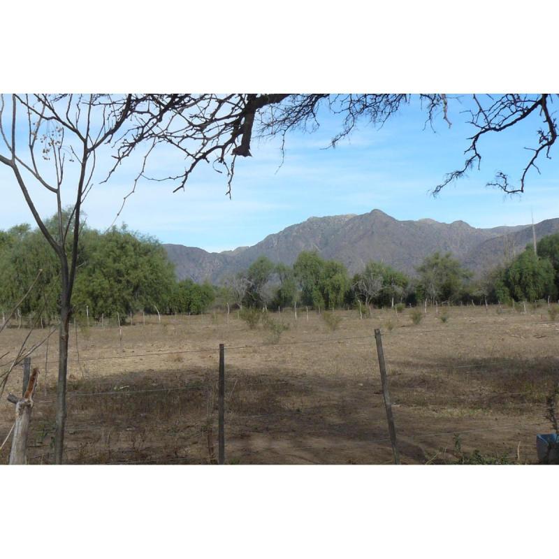 lotes de 13x50 con todos los servicios y vista a las sierras , en Lujan ,San Luis - 9