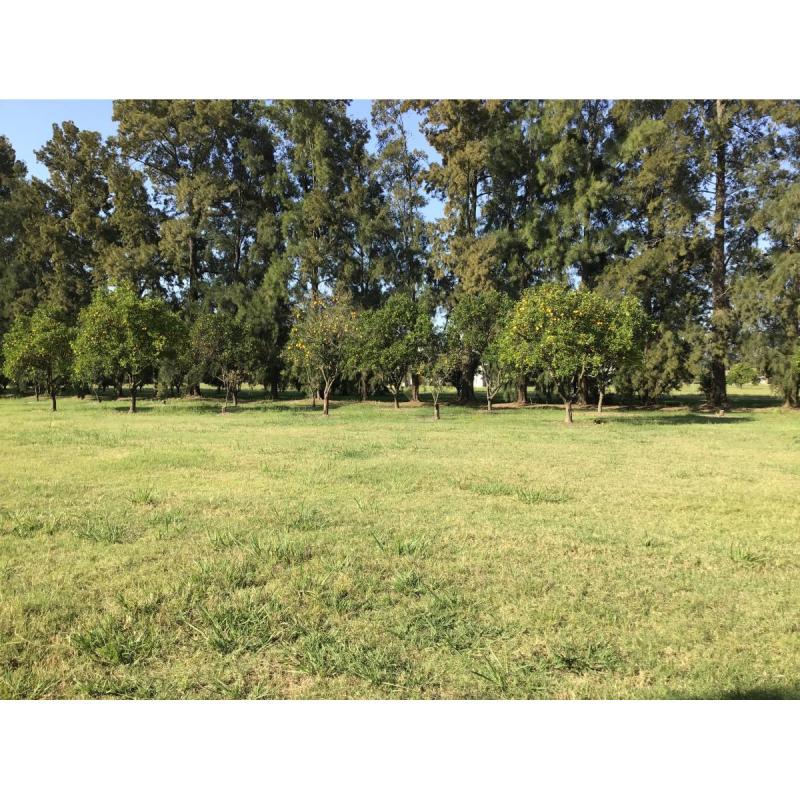 Terreno en azahares del parana - fighiera - 3