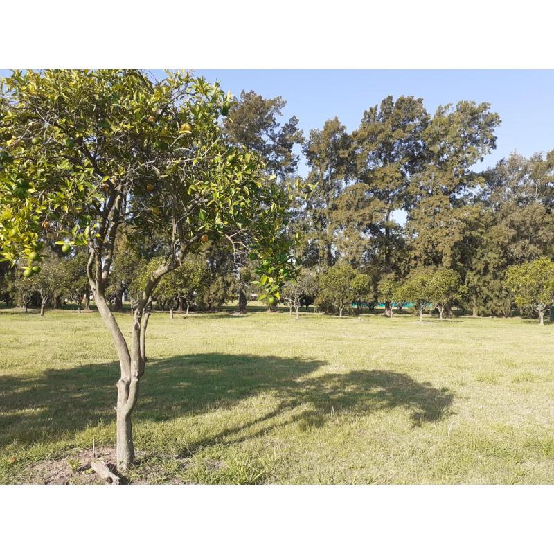 Terreno en azahares del parana - fighiera - 5