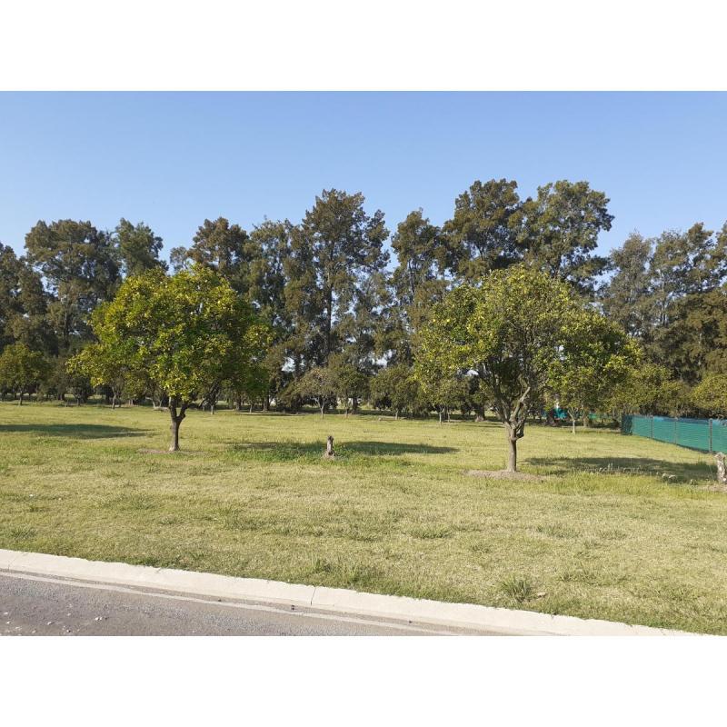 Terreno en azahares del parana - fighiera - 6
