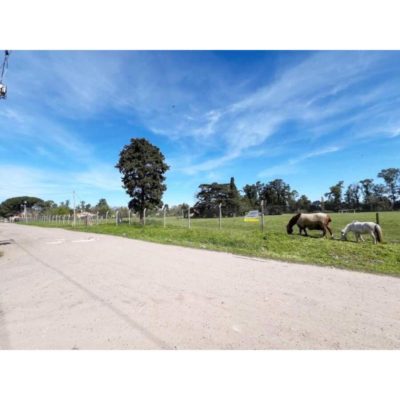 OPORTUNIDAD DE INVERSIÓN ÚNICA - Venta de Campo de 4 HECTÁREAS en Moreno, con Casa - 2