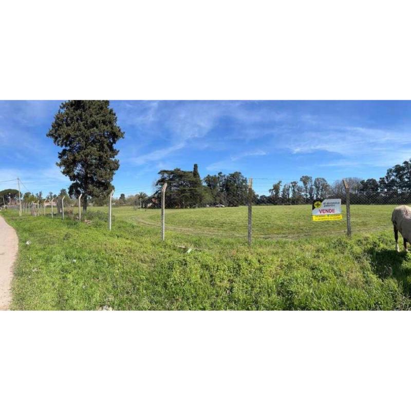 OPORTUNIDAD DE INVERSIÓN ÚNICA - Venta de Campo de 4 HECTÁREAS en Moreno, con Casa - 3