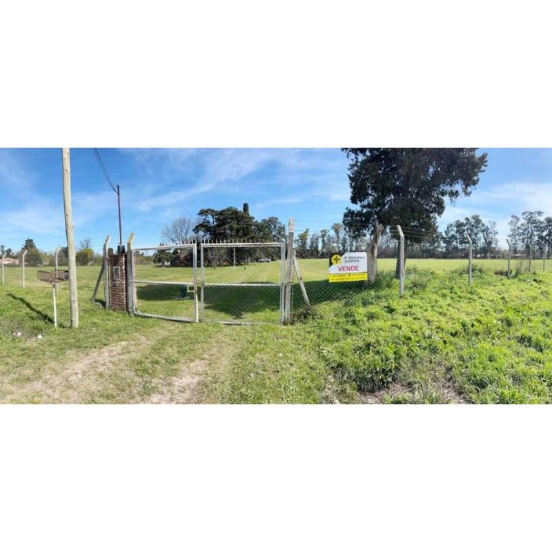OPORTUNIDAD DE INVERSIÓN ÚNICA - Venta de Campo de 4 HECTÁREAS en Moreno, con Casa - 5