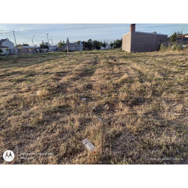 Vendo terreno