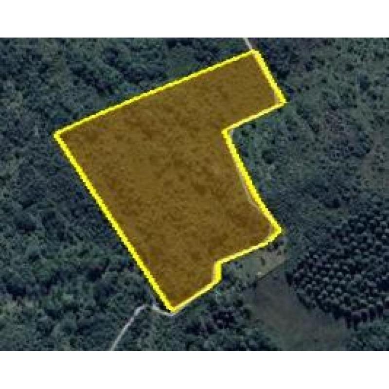 Vendo campo 5 hectareas detras de potrerillo de larreta alta gracia - cordoba