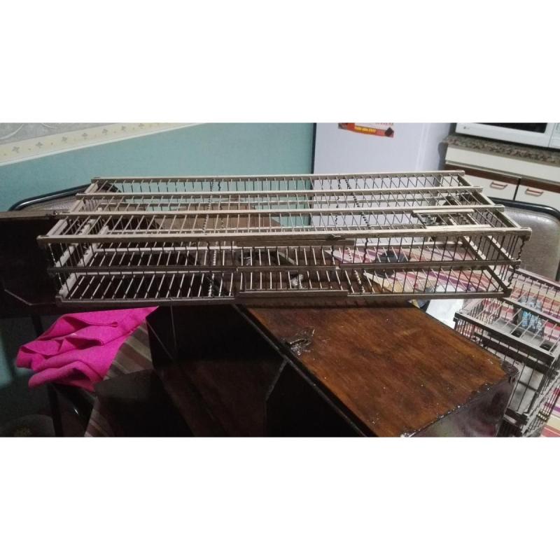 Vendo pajarera/perrera de madera para transportar pájaros. - 3
