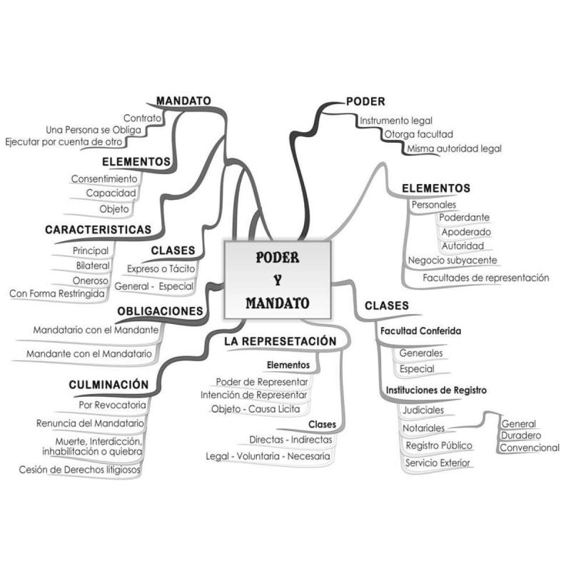 Análisis de poderes (personas físicas y jurídicas).