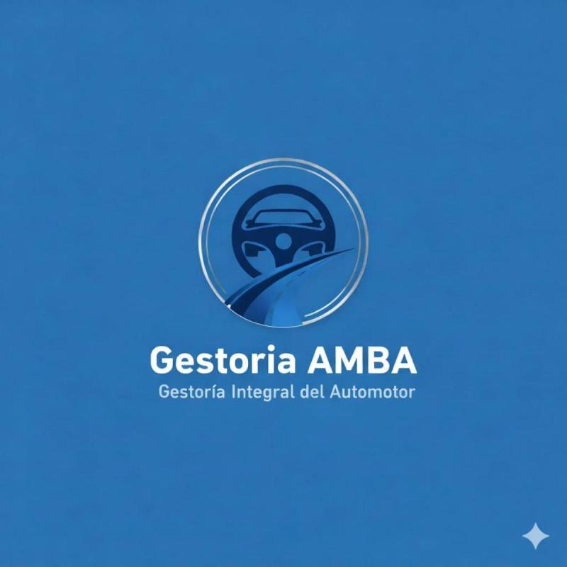 Gestoria - Mandataria Automotor -Resolucion de Infracciones de Transito
