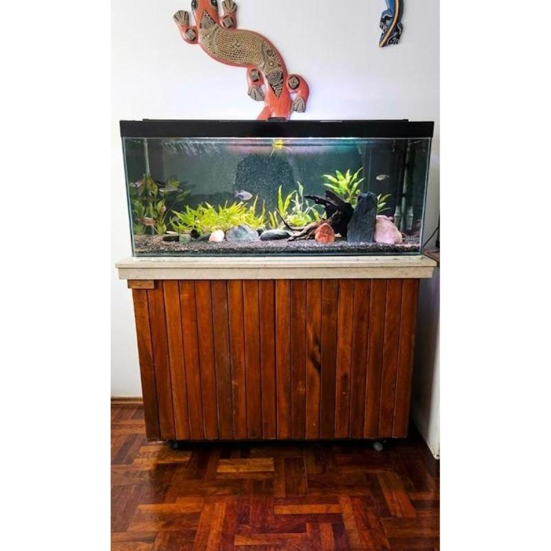 Pecera ACUARIO 240 Litros Completa + Mueble Reforzado + Filtros ATMAN