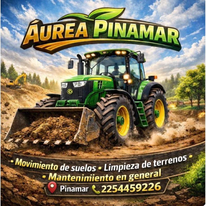 Limpieza de terrenos - movimientos de suelos