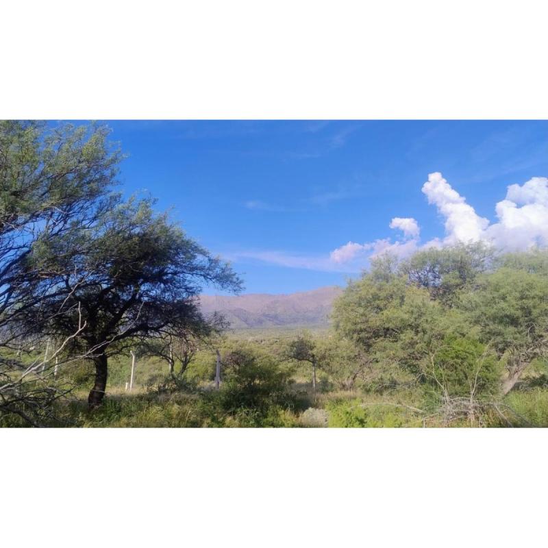 🏡 Terrenos en venta – Los Molles (San Luis). Zona Suyuque