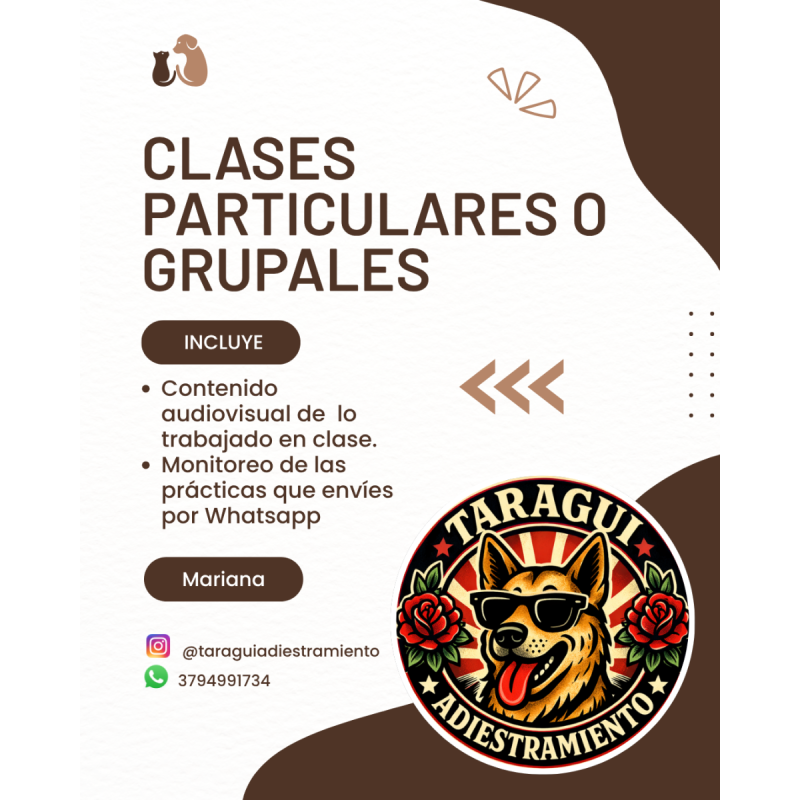 Adiestramiento canino a domicilio
