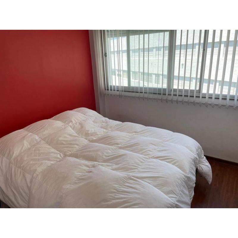 Dueño vende dpto 2 amb en Mar del Plata frente al mar - 10