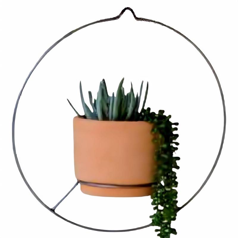 Macetero Colgante de Hierro Circular