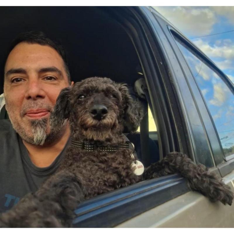 Traslado de mascotas en caba - 2