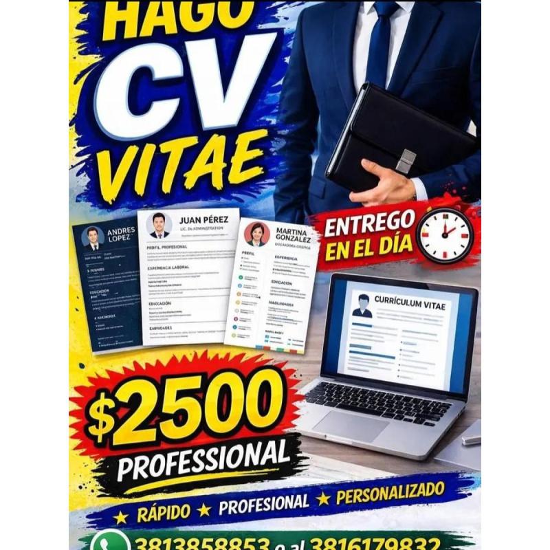 Realizo curriculum vitae entrega en el dia