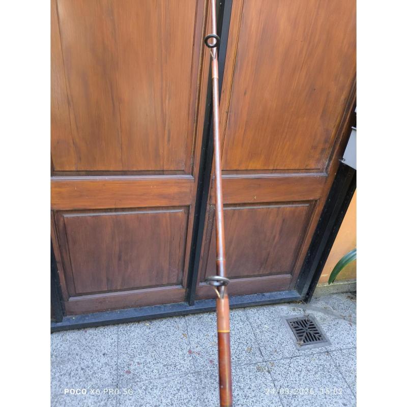 Caña Sportex - 3