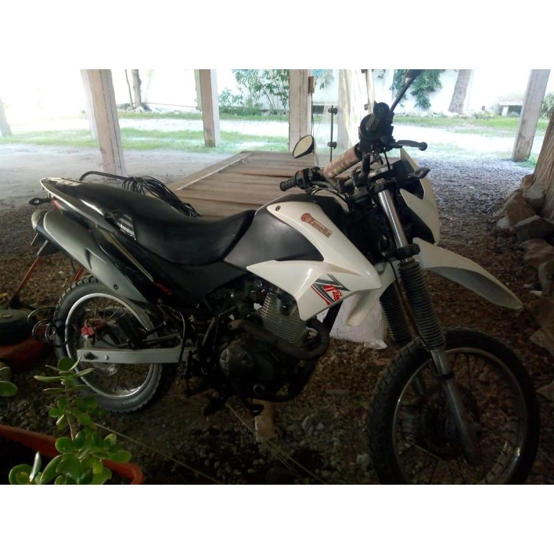 Moto Yanela 150 modelo 2019 ZR