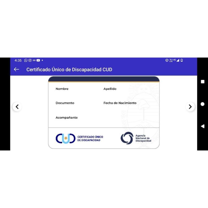 Pases CUD Multimodal para viajar