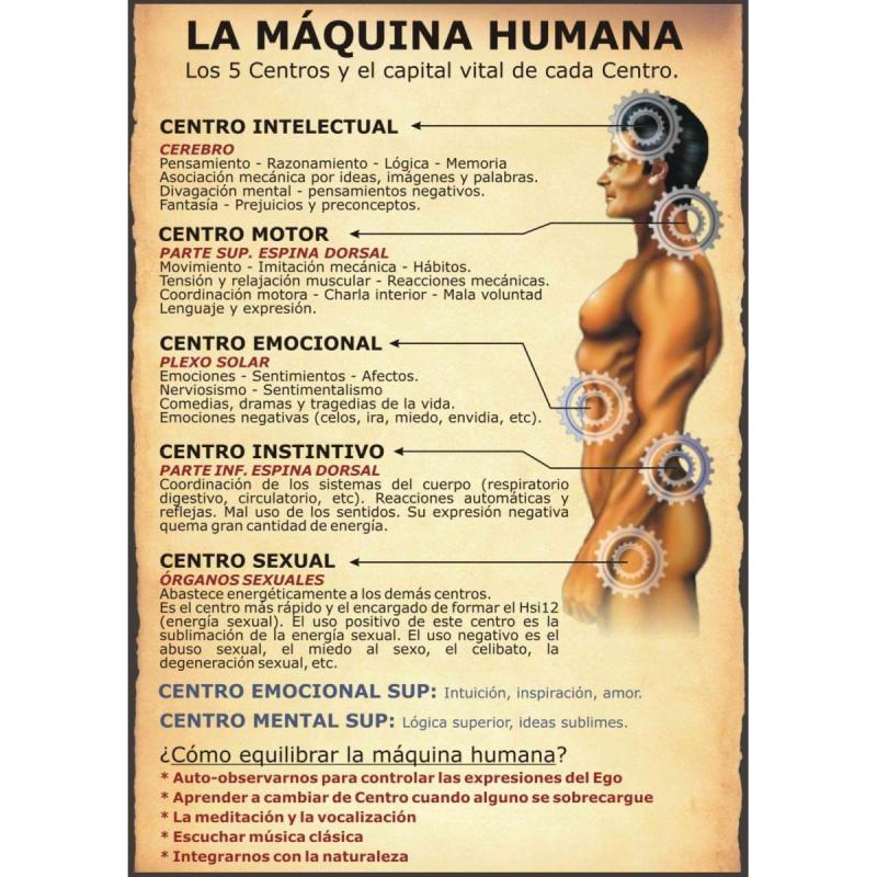Masajista profesional